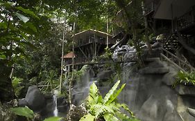 Rock And Treehouse Resort